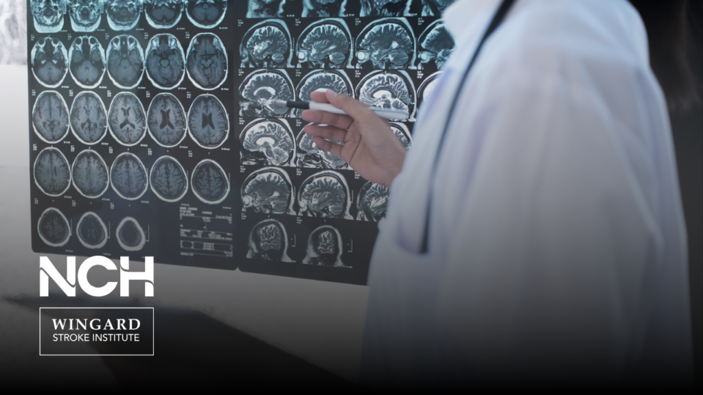 Provider pointing at neuroimages